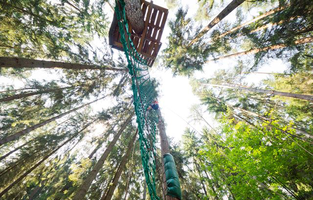 Kletterwald von unten fofografiert